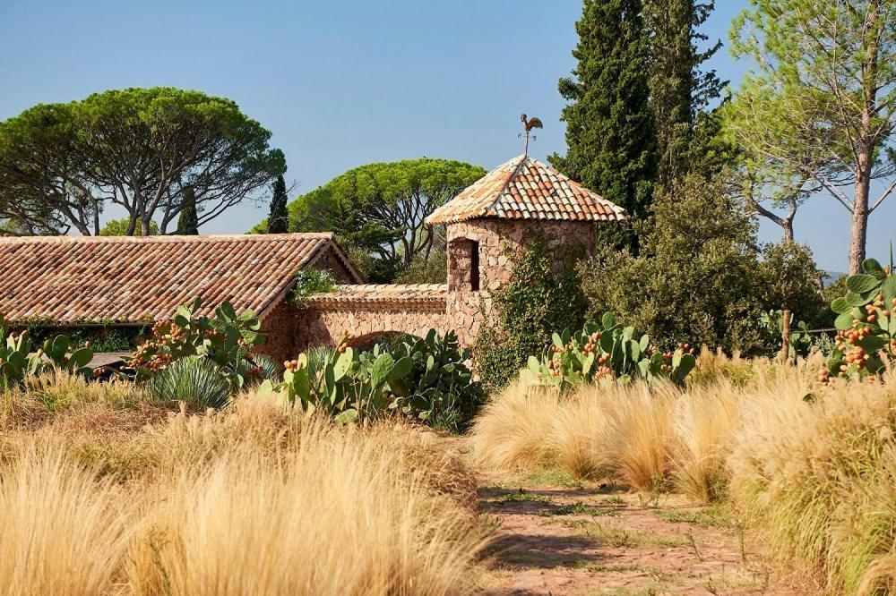 Chateau Saint Roux Le Luc-Le Cannet Des Maures Eksteriør billede