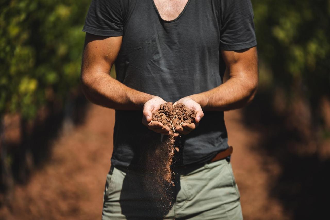 Chateau Saint Roux Le Luc-Le Cannet Des Maures Eksteriør billede