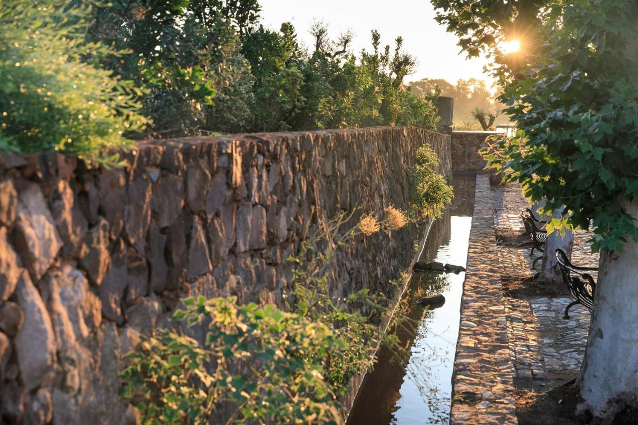 Chateau Saint Roux Le Luc-Le Cannet Des Maures Eksteriør billede